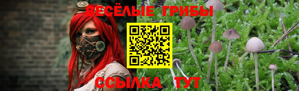 Галлюциногенные грибы Magic Shrooms Клинцы